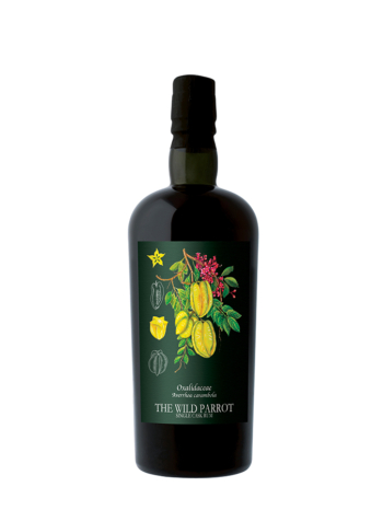 JAMAICA 2009 Clarendon The Wild Parrot Foundations Hidden Spirit