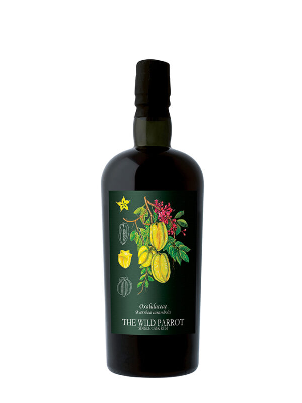 JAMAICA 2009 Clarendon The Wild Parrot Foundations Hidden Spirit